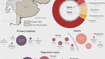 Uruguay's Online Flora: A new resource connecting science, society, and conservation featured image