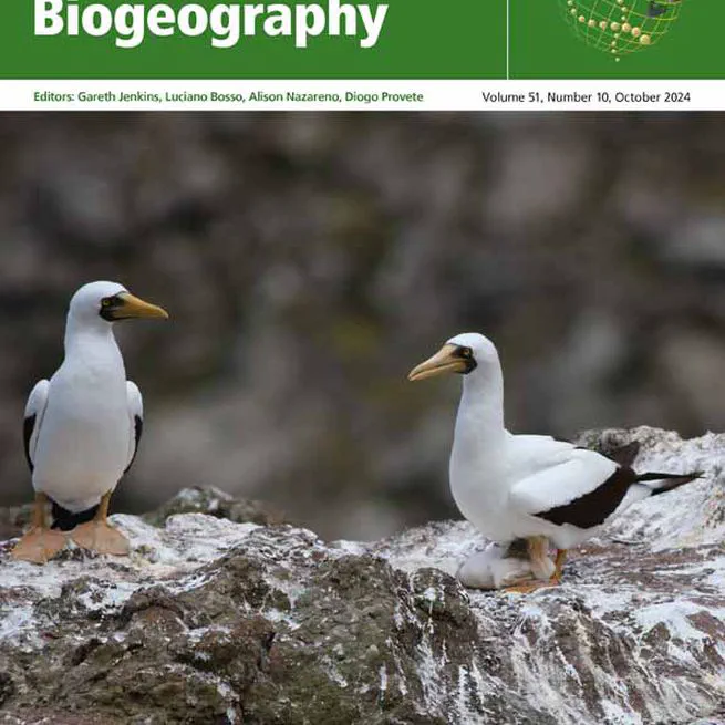 The Cerrado through cacti