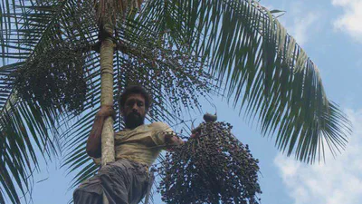 Frutas Nativas no Rio Grande do Sul: cultivando e valorizando a diversidade featured image