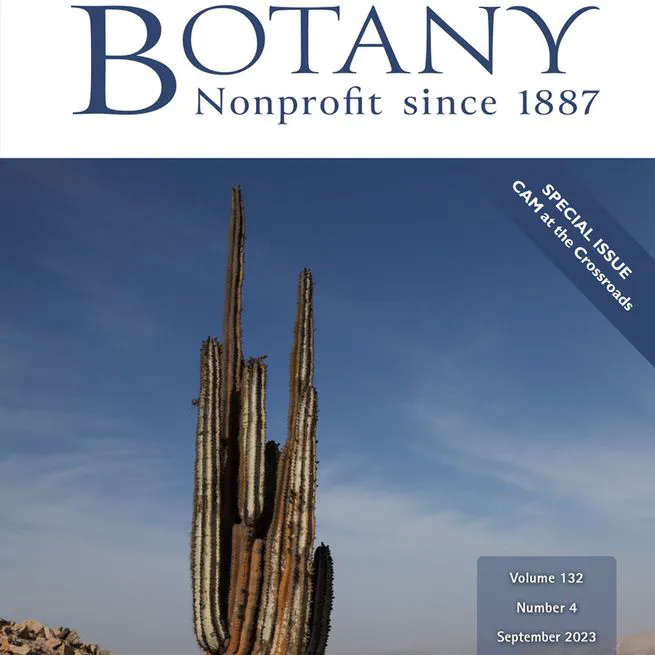 More than a spiny morphology: plastome variation in the prickly pear cacti (Opuntieae)