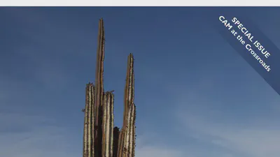 More than a spiny morphology: plastome variation in the prickly pear cacti (Opuntieae) featured image