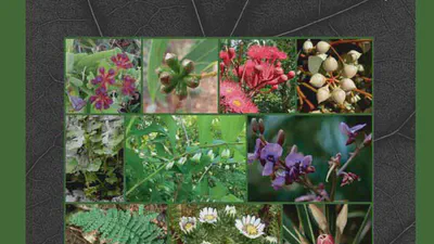 Proposal to reject the name Cactus tuna (Opuntia tuna) (Cactaceae) featured image