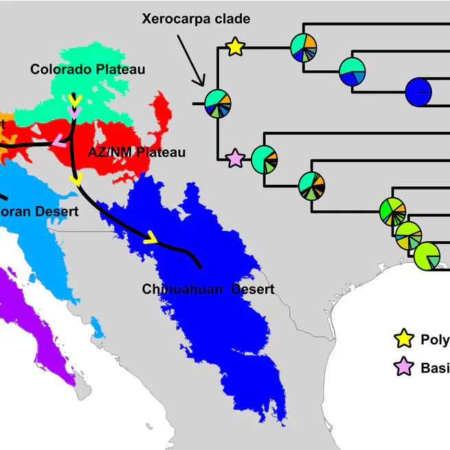 Evolution of the Xerocarpa clade (Opuntia; Opuntieae): Evidence for the Role of the Grand Canyon in the Biogeographic History of the Iconic Beavertail Cactus and Relatives